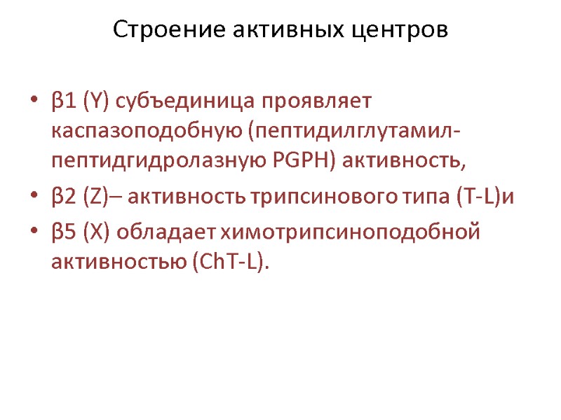 Строение активных центров β1 (Y) субъединица проявляет каспазоподобную (пептидилглутамил-пептидгидролазную PGPH) активность,  β2 (Z)–